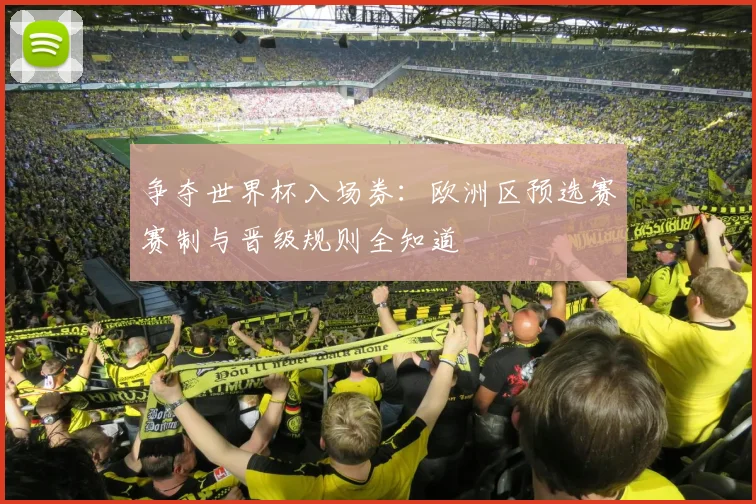 争夺世界杯入场券：欧洲区预选赛赛制与晋级规则全知道