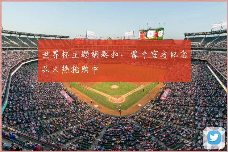 世界杯主题钥匙扣,蒙牛官方纪念品火热抢购中