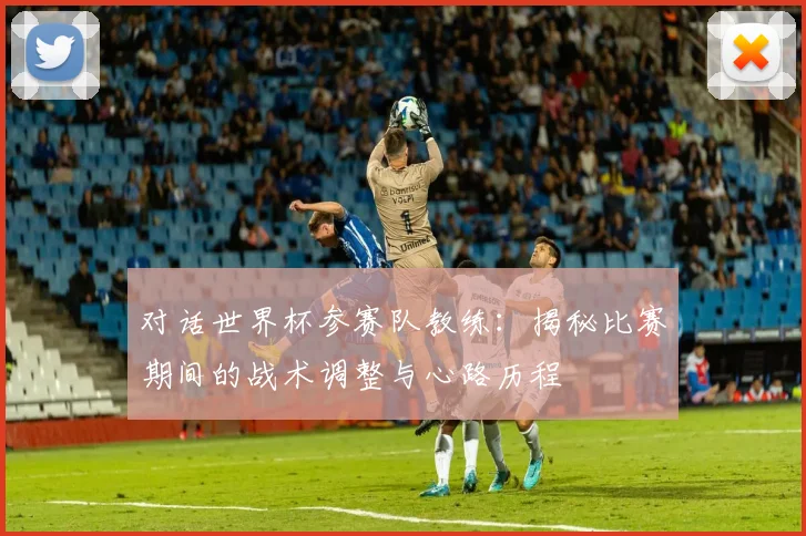 对话世界杯参赛队教练：揭秘比赛期间的战术调整与心路历程