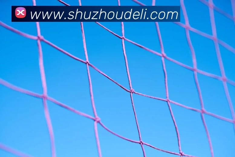 APP界面展示